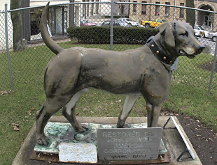 Zinc Dog in Johnstown, Pennsylvania