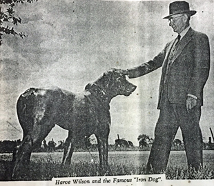 Harve Wilson With the Iron Dog