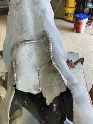 [Iron Dog Restoration Photo]