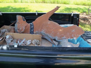 [Iron Dog Restoration Photo]